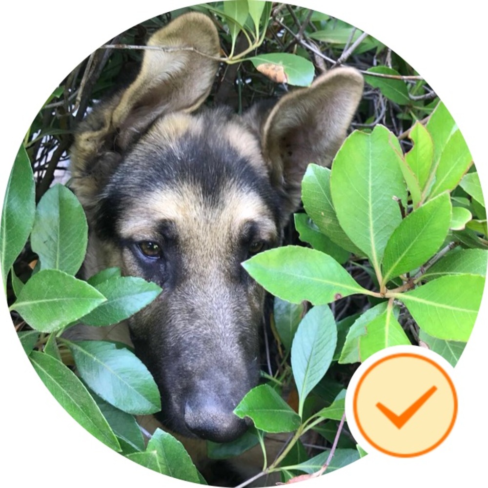 Meet your Posher, Flora